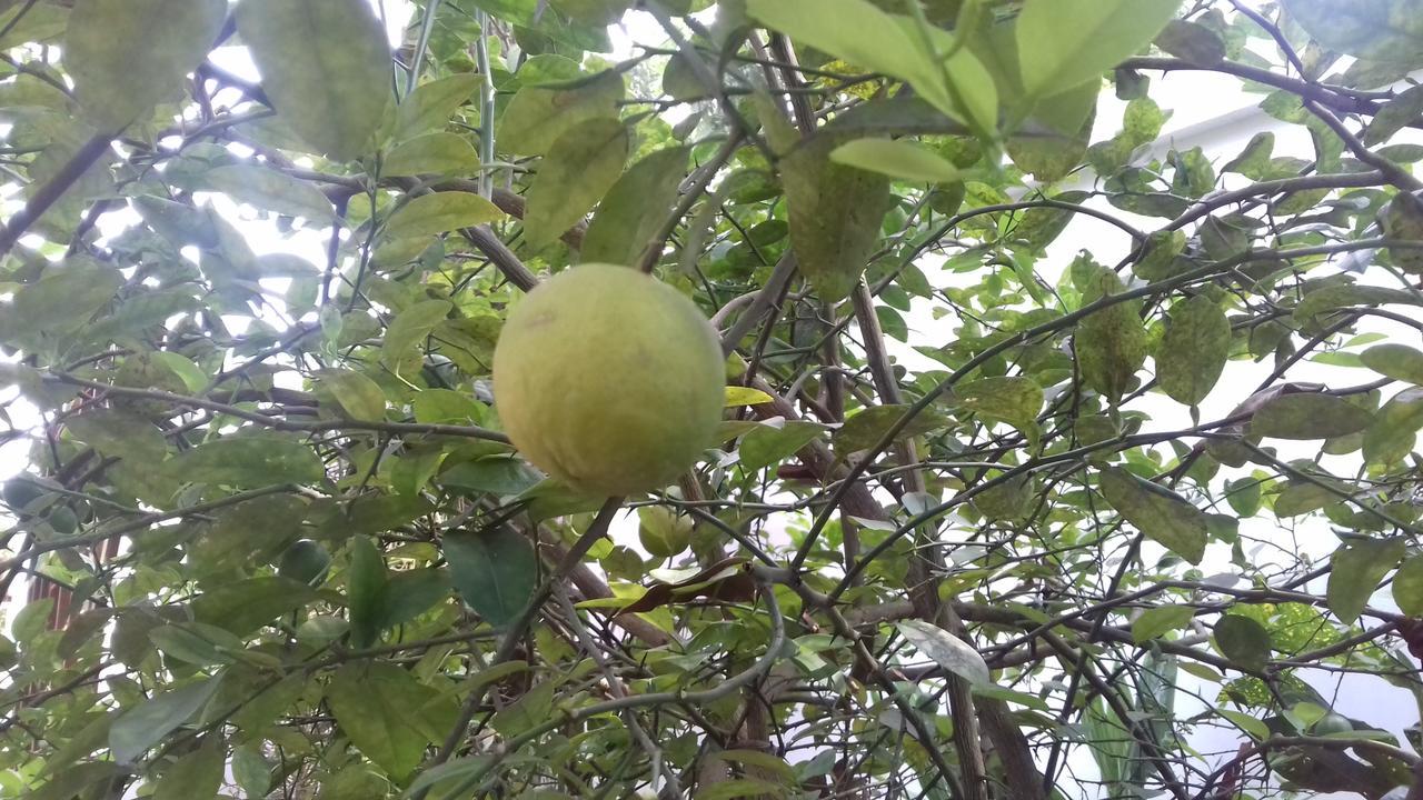 Marari Coastal Dreams Home Stay Alappuzha Екстер'єр фото
