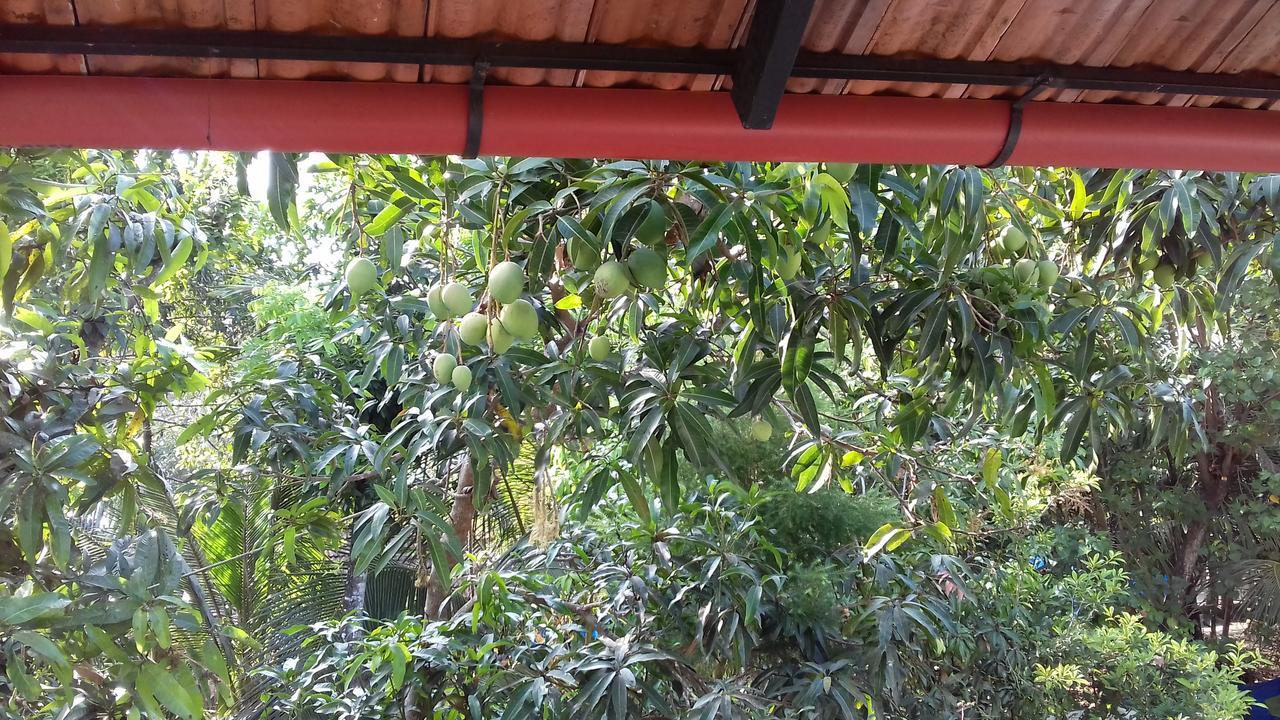 Marari Coastal Dreams Home Stay Alappuzha Екстер'єр фото